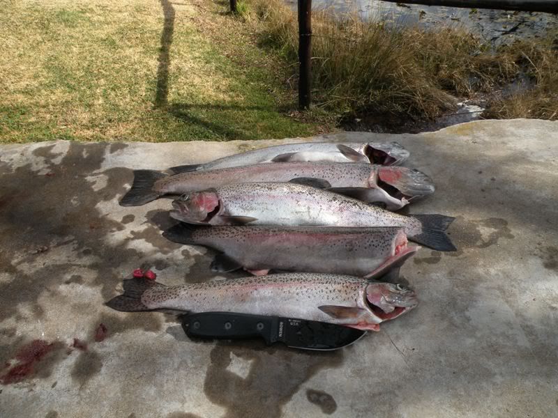 TroutFishingJuly2010v1015lowres.jpg