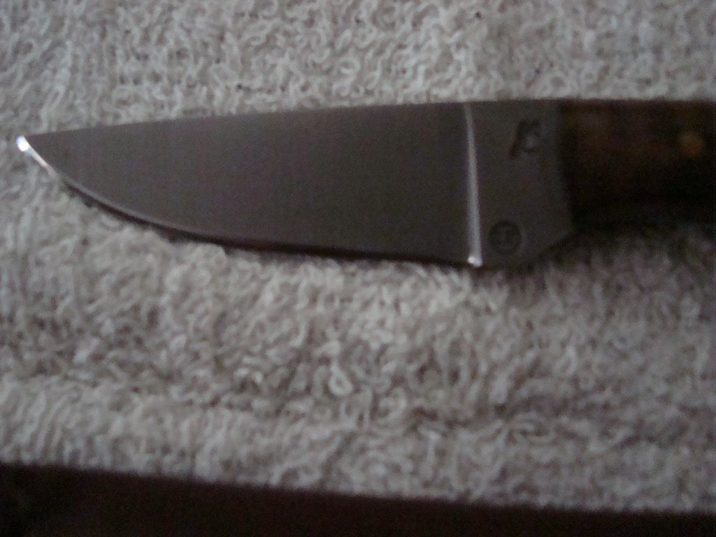 DSC07152_zpsy6k71crt.jpg