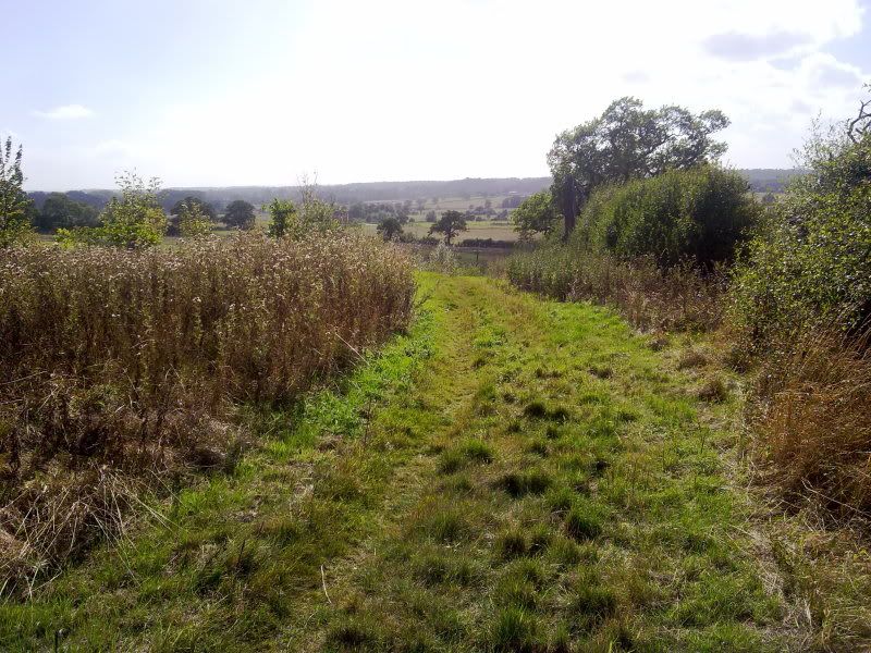 12092011167.jpg