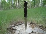 Cabin062210003-1.jpg