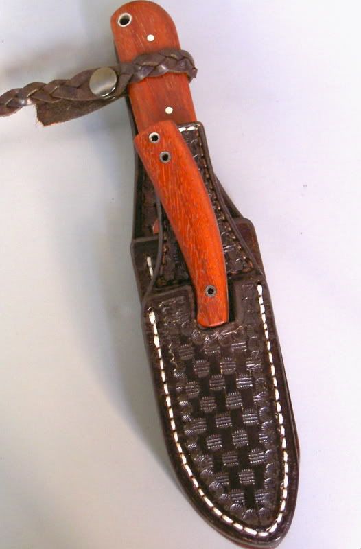 PICT1792-1.jpg