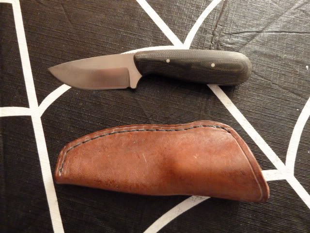 P1000328.jpg