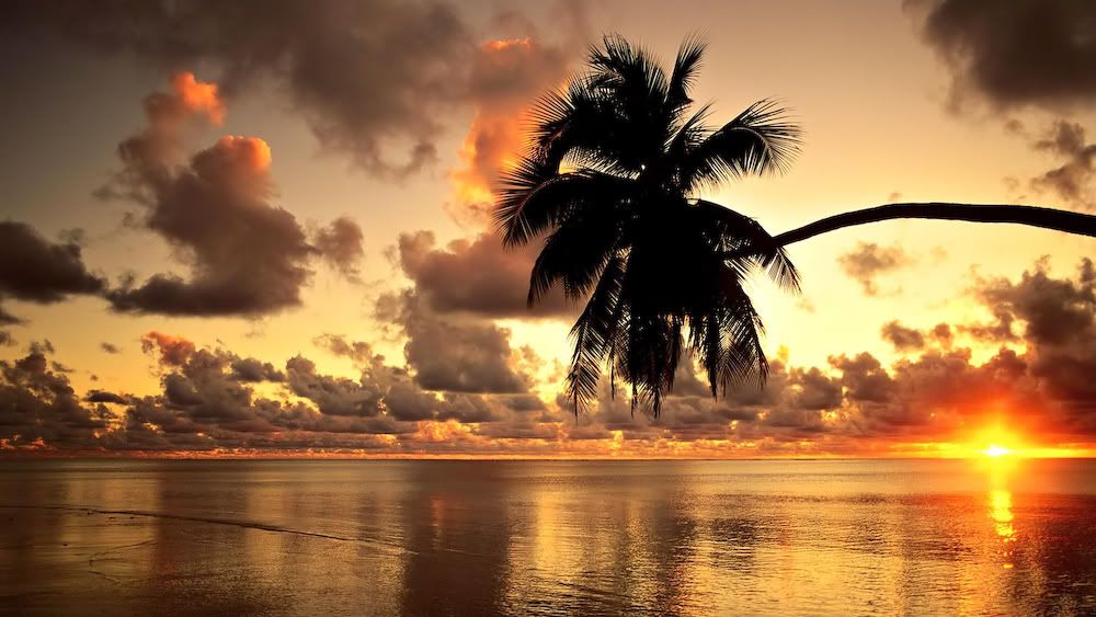 Hawaii_Sunset.jpg