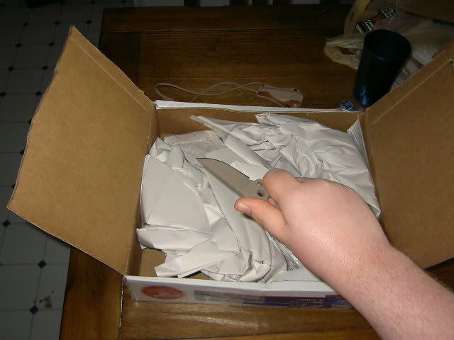 PICT3973.jpg