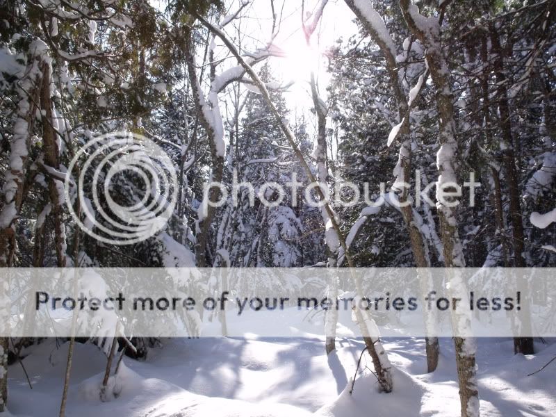 Jan30snowshoeing010-1.jpg