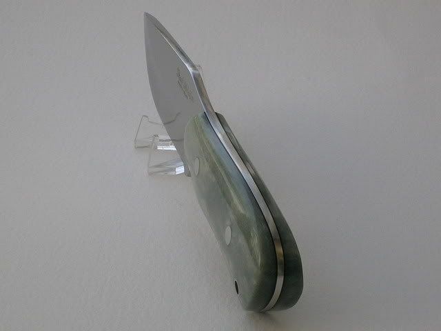 DSCN3908.jpg