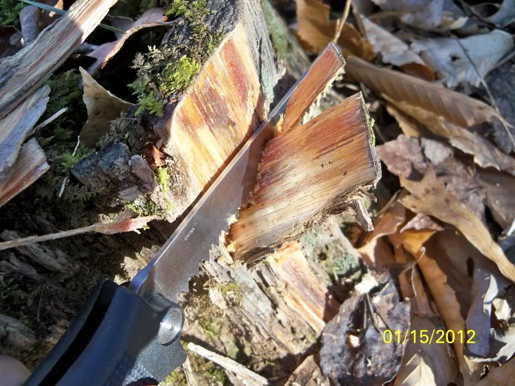 2012-01-15012.jpg