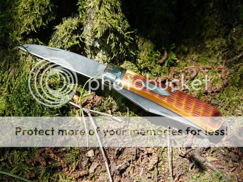 Trapper_11_small_zpsb14de1af.jpg