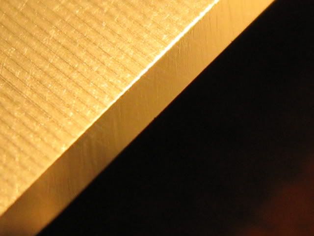 Picture1387.jpg