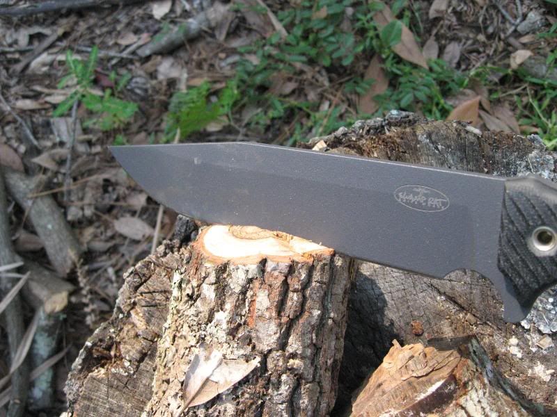 M9CG010.jpg