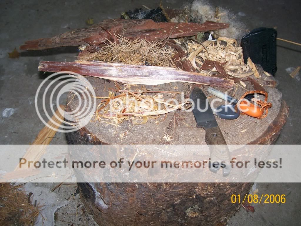 100_3770.jpg
