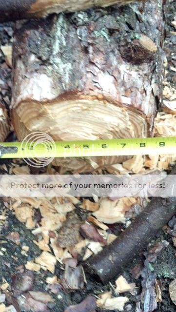 2012-10-27_15-07-18_255.jpg
