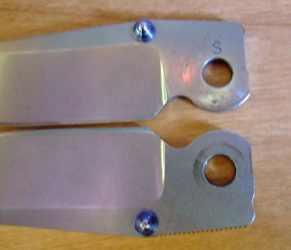 DSCF1803.jpg