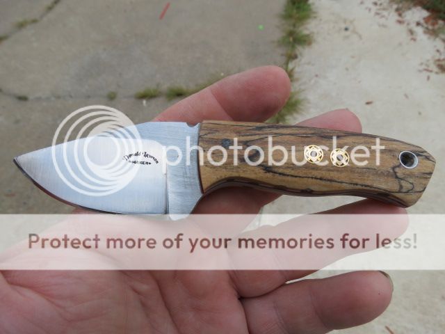 IMG_1819_zpsec3a87cf.jpg