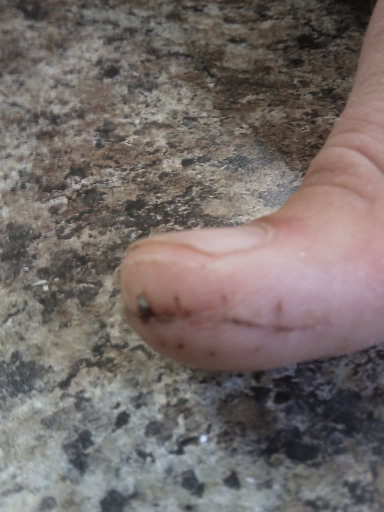 IMAG0144.jpg