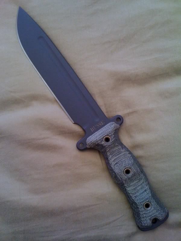 busse1.jpg