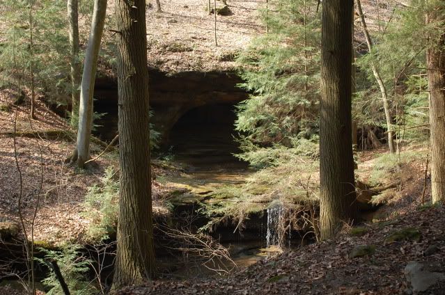 DSC_0260.jpg