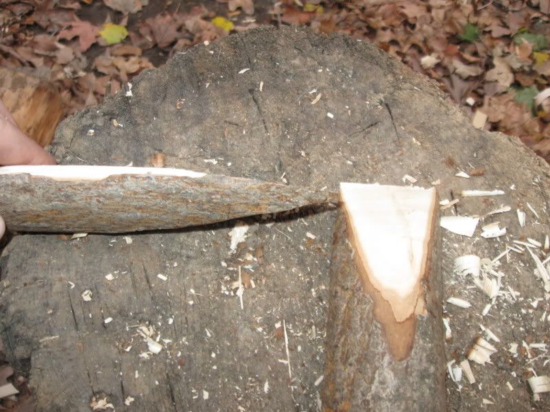 splitting5b.jpg