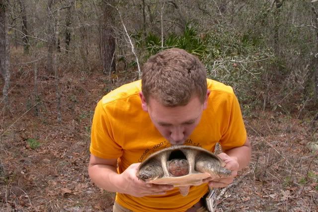 joesoftshell2.jpg