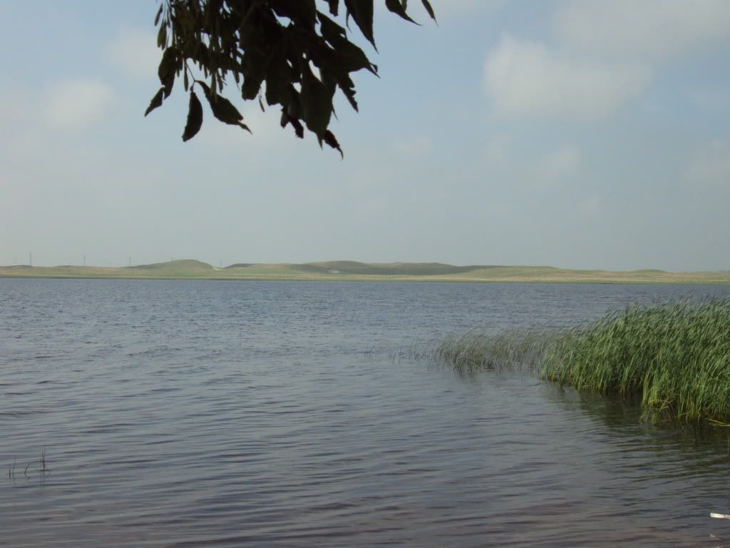 DSC00922.jpg