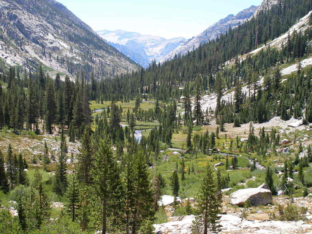 KingsCanyon2008700.jpg