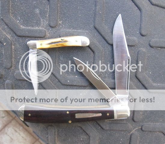 IMG_2766_zps6a9298ef.jpg~original