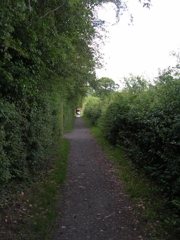 DSCN2293.jpg