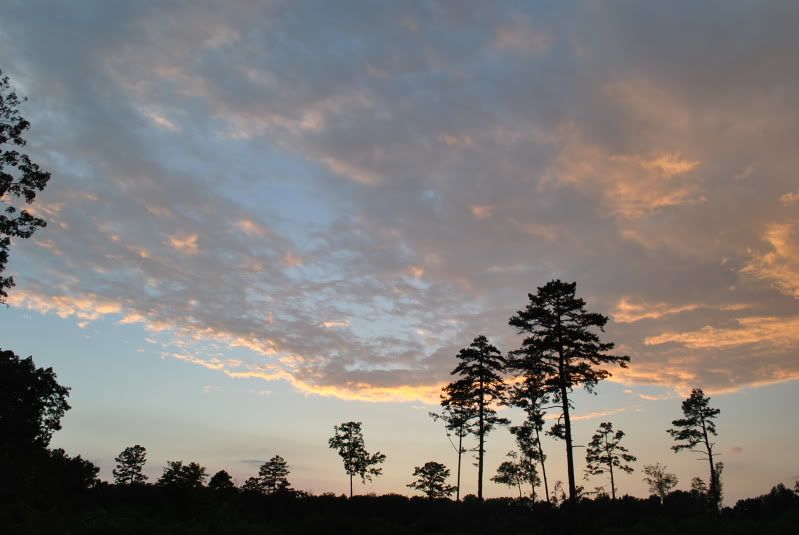 DSC_3157.jpg