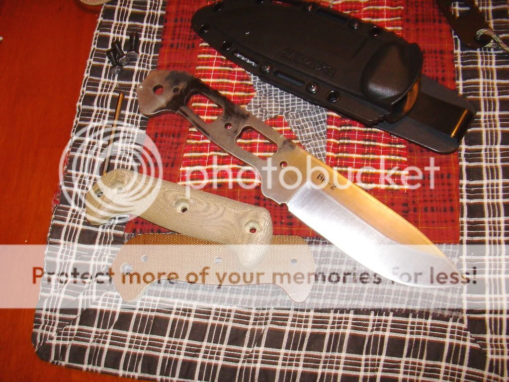 PICT0572.jpg