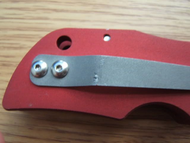 DSCF8337.jpg