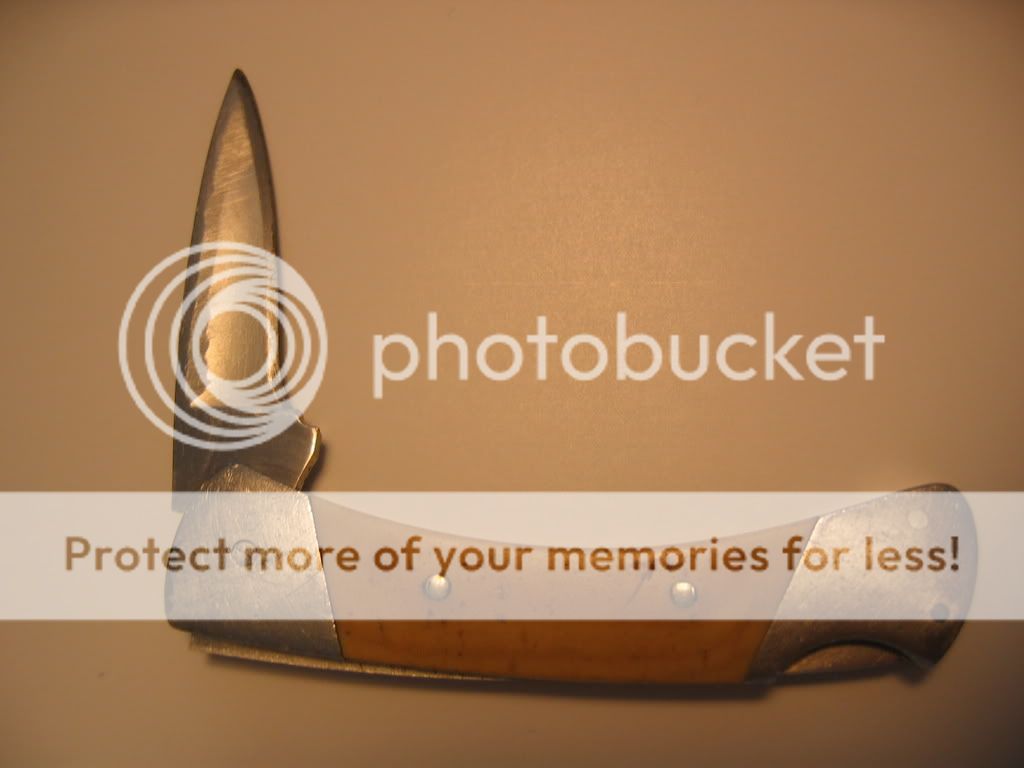 Buck506_5.jpg