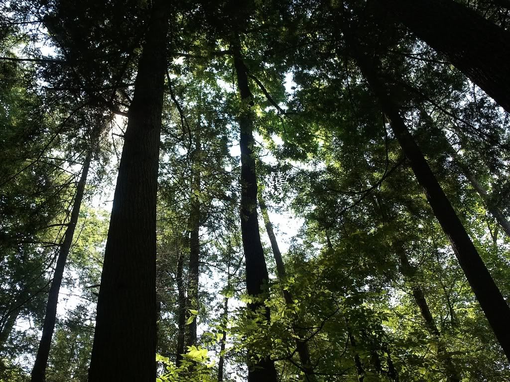 2011-07-11114202.jpg