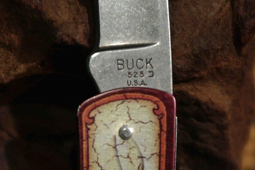 Buck525DeerHeadRicasso_zps1e70724c.jpg