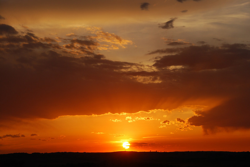 893719677_oMFWD-L.jpg