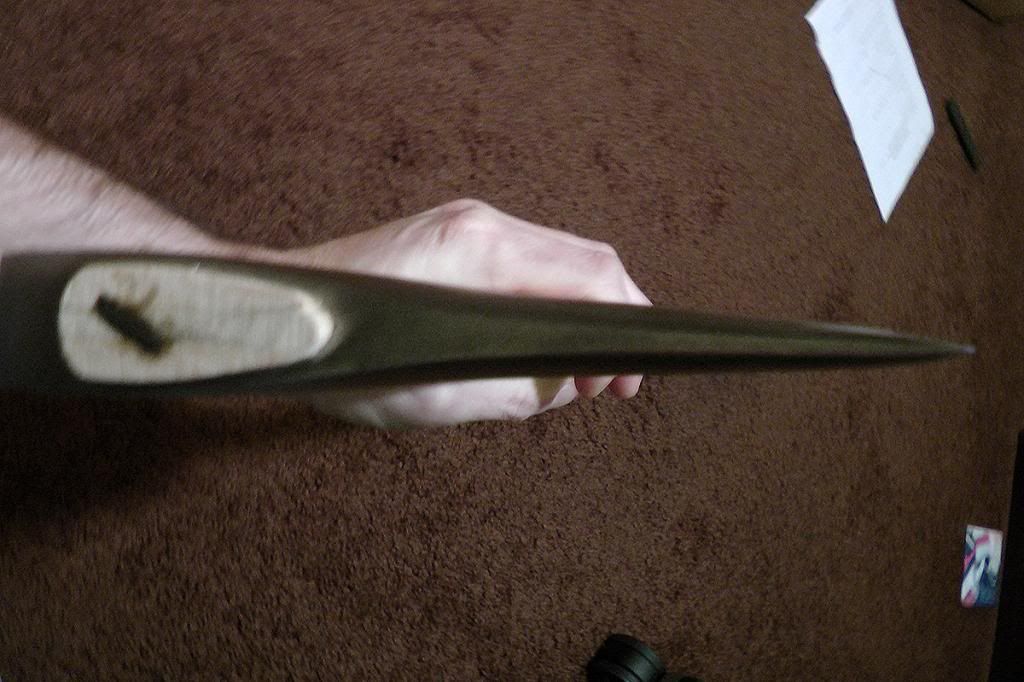 M1390012_zpsc69829df.jpg