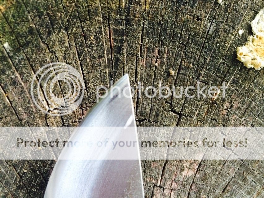 D4E63FFE-F9C3-489D-A2BE-C96E93665361.jpg