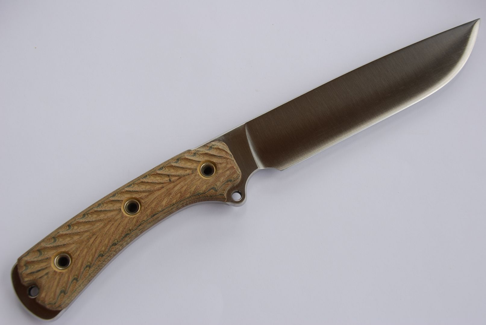 Sar67004.jpg