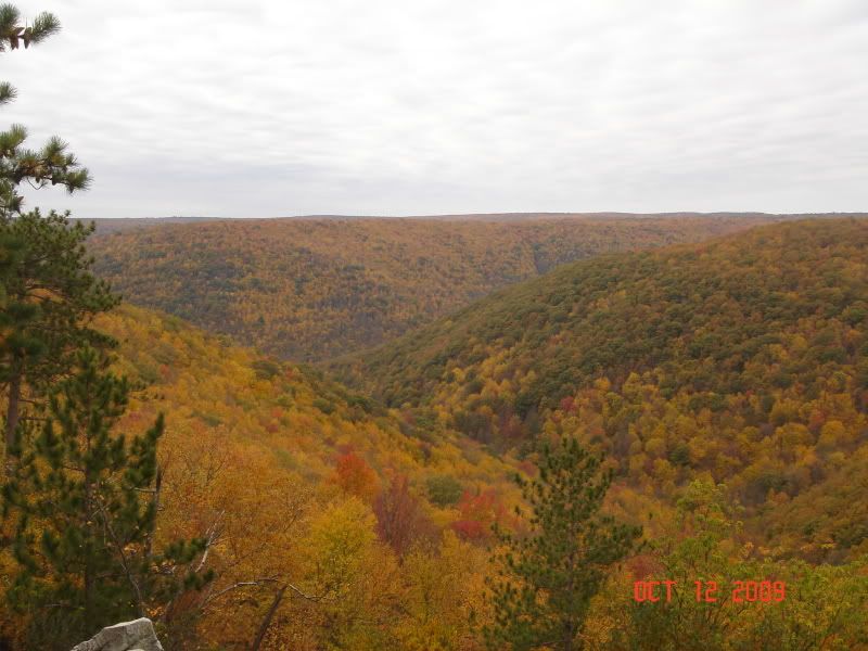BFT091011032.jpg