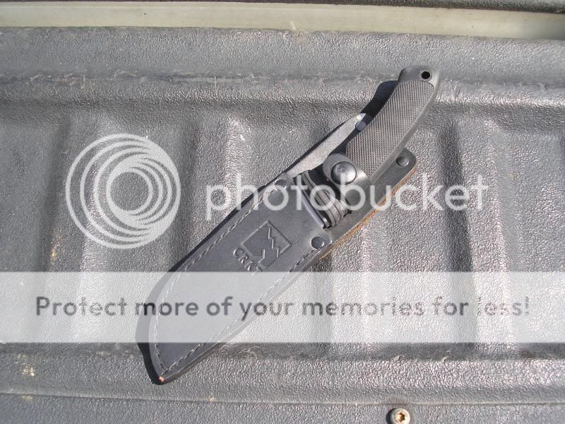 Picture026.jpg