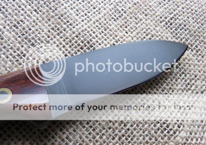 IMG_1461.jpg~original