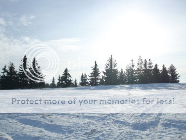 DSCF2096.jpg