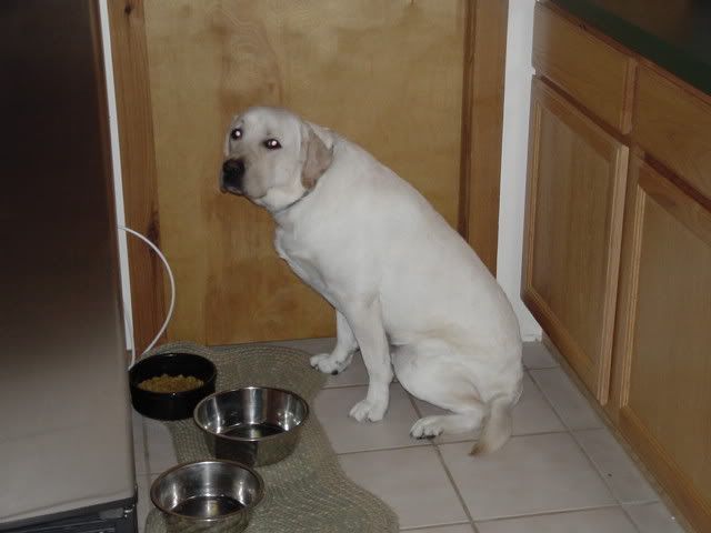 Picture024.jpg