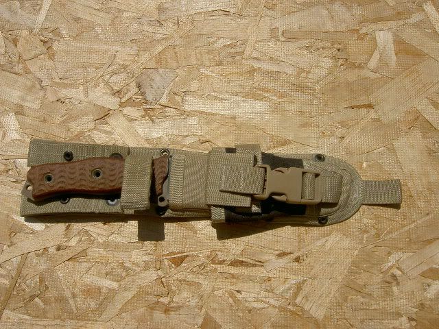 PICT5291.jpg