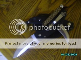 Picture038.jpg