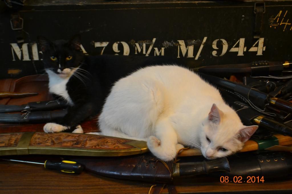 DSC_0030_zps1732ab9e.jpg