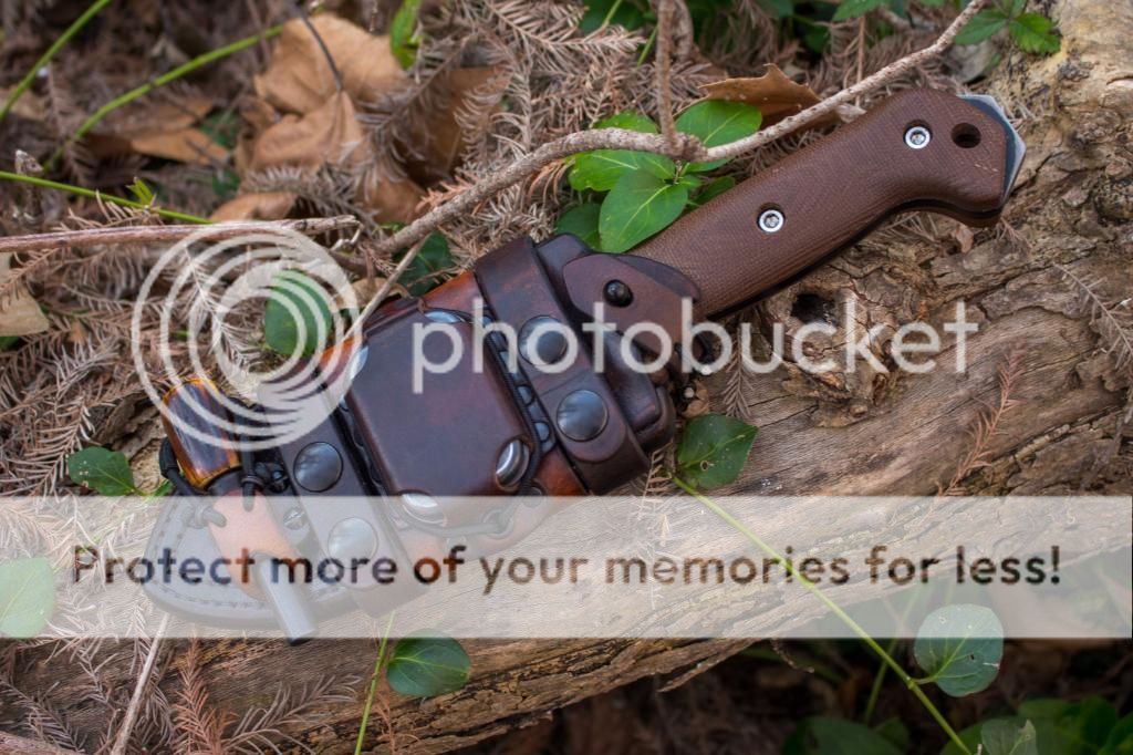 IMG_0413_zps36fc5010.jpg~original