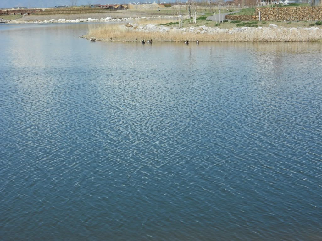 DSCN0312.jpg