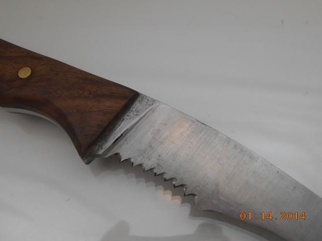 DSCN0670.jpg
