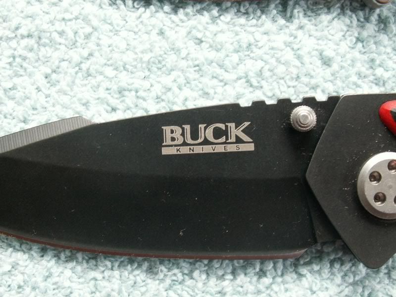 MysteryBuck3.jpg