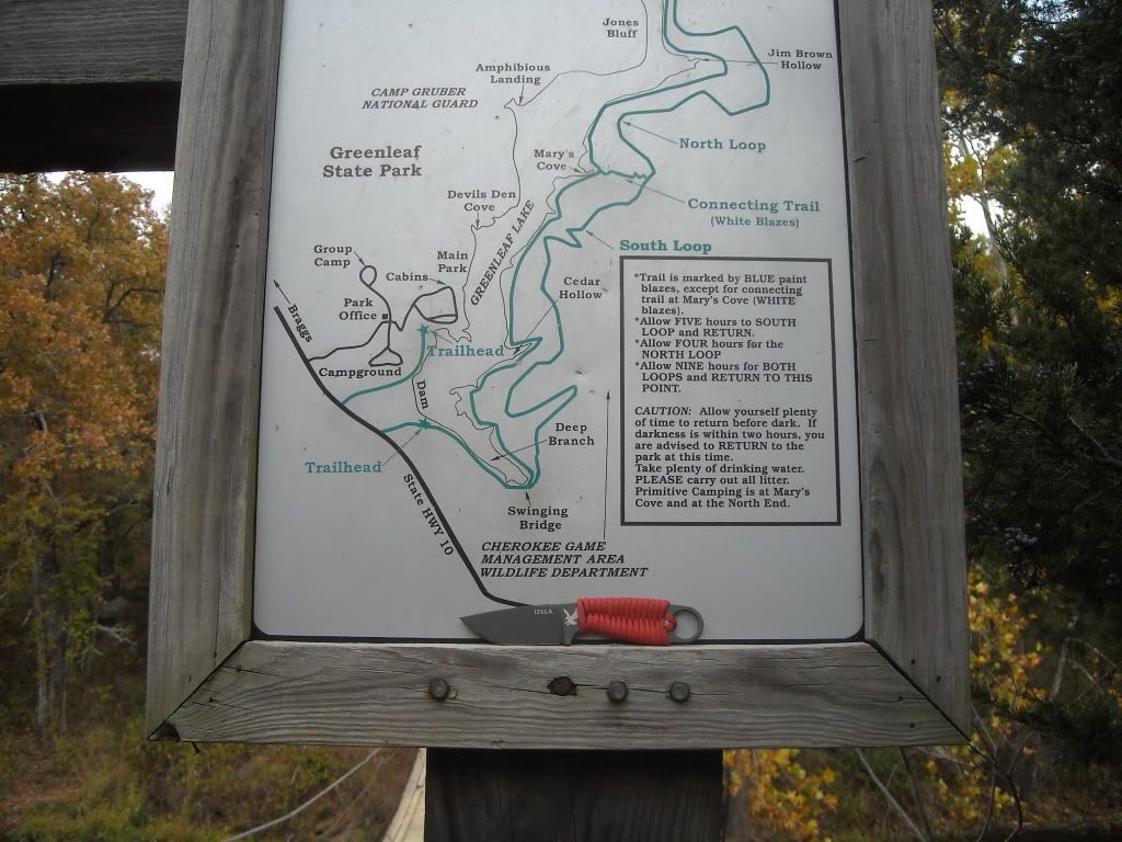 DSCN1234.jpg